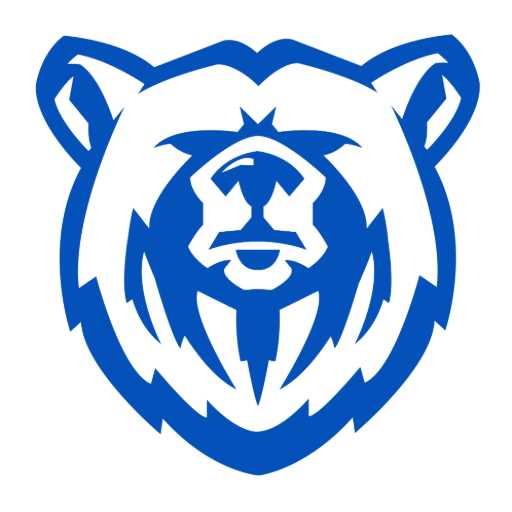 Blue Bear Roofing & Construction